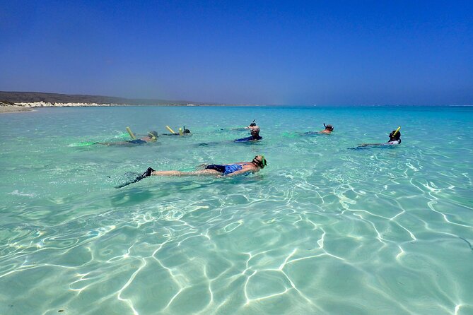 Ningaloo Reef Snorkel Adventure - Turquoise Bay, the anchor stop