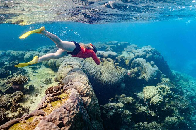 Ningaloo Reef Snorkel Adventure - Oyster Stacks or Lakeside, chosen for the day