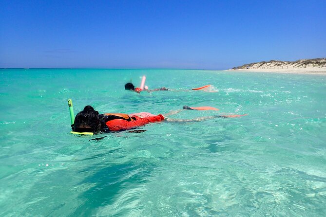 Ningaloo Reef Snorkel Adventure - Morning tea and a picnic lunch on the beach