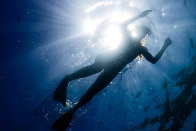 Ningaloo Reef Snorkel and Wildlife Adventure - Why this six-hour Ningaloo trip is worth considering
