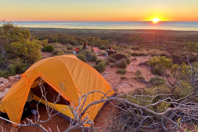 Ningaloo Reef Snorkel and Wildlife Adventure - Practical details to settle before booking