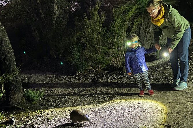 Nocturnal Wildlife Tour from Busselton - Key points to know before you book