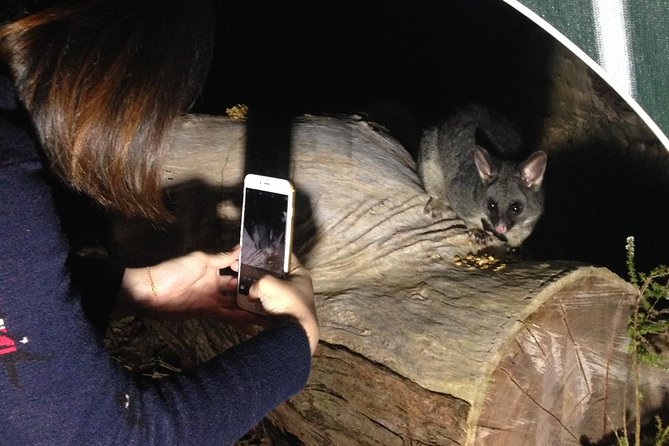 Nocturnal Wildlife Tour from Busselton - Arriving at Yelverton Brook Conservation Sanctuary at 6pm