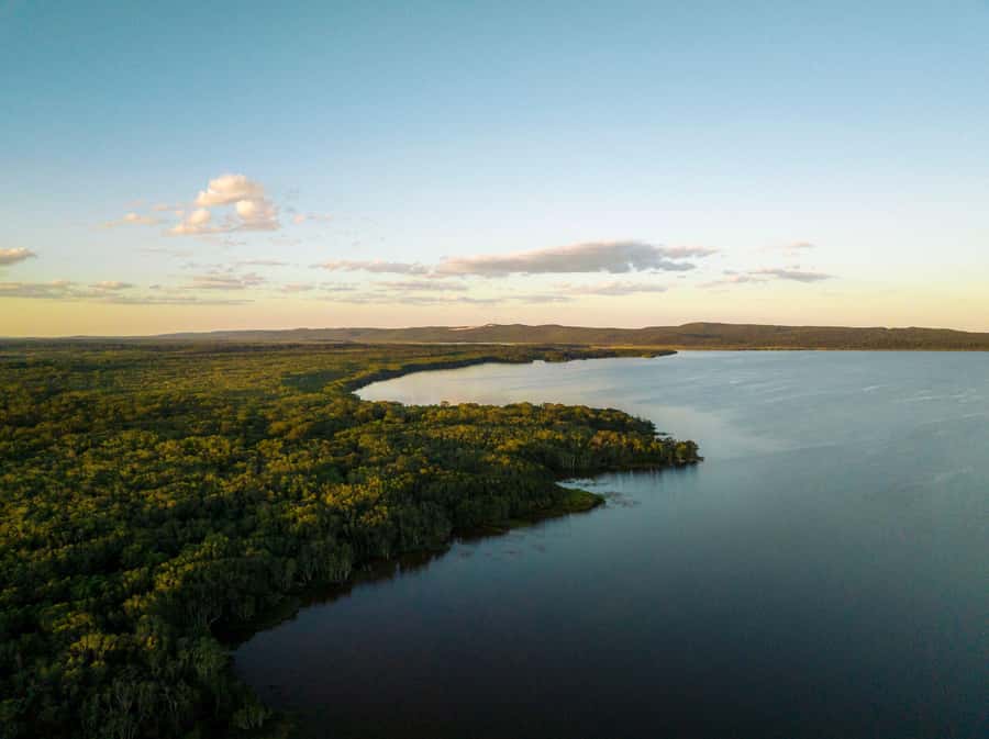 Noosa: Afternoon Cruise through the Noosa Everglades - Who should book this cruise?
