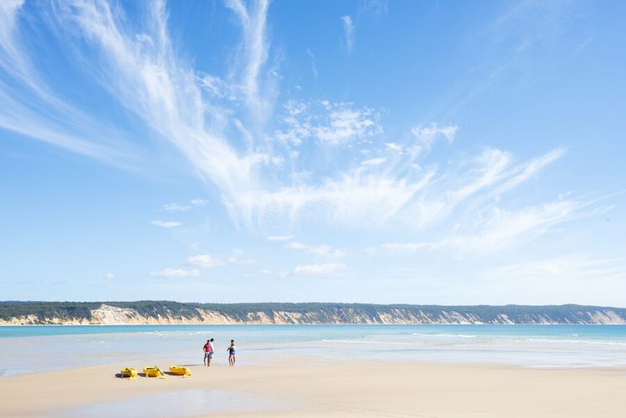 Noosa: Epic Ocean Kayak with Dolphins & 4WD Beach Adventure - A strong choice for families and active nature lovers