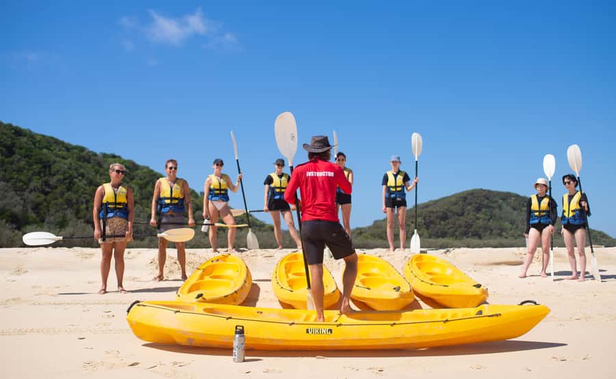 Noosa: Epic Ocean Kayak with Dolphins & 4WD Beach Adventure - Looking for dolphins, turtles and whales