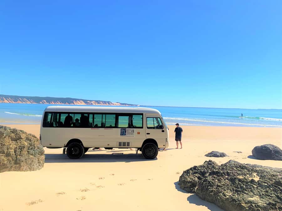 Noosa: Epic Ocean Kayak with Dolphins & 4WD Beach Adventure - What the $118 price really covers