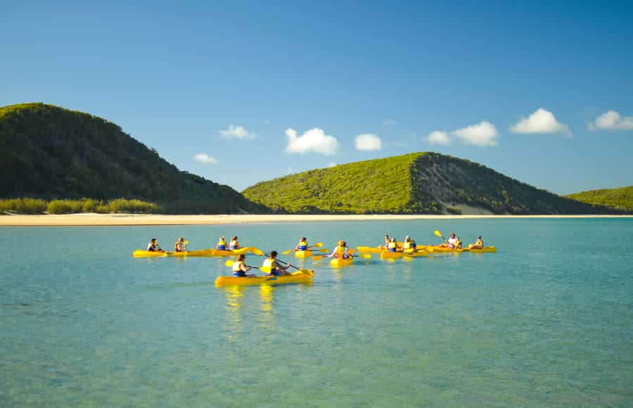 Noosa: Epic Ocean Kayak with Dolphins & 4WD Beach Adventure - Timing depends on the tide