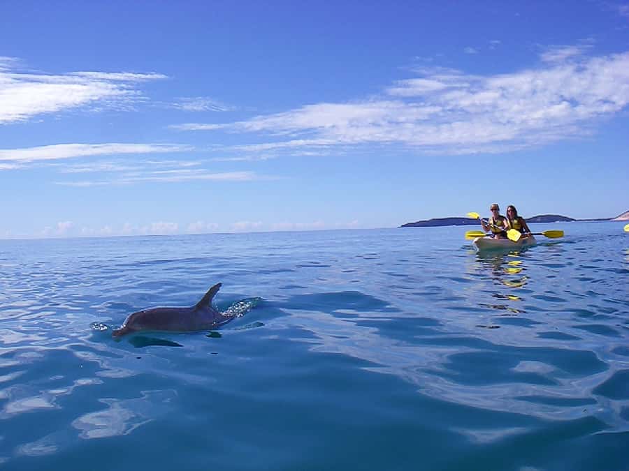 Noosa: Epic Ocean Kayak with Dolphins & 4WD Beach Adventure - What to bring for the kayak