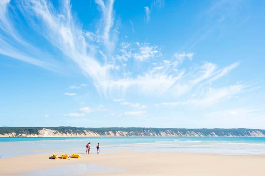 Noosa: Epic Ocean Kayak with Dolphins & 4WD Beach Adventure - Who will enjoy this most
