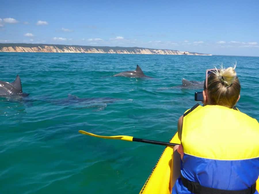 Noosa: Epic Ocean Kayak with Dolphins & 4WD Beach Adventure - Launching near Double Island Point Lighthouse
