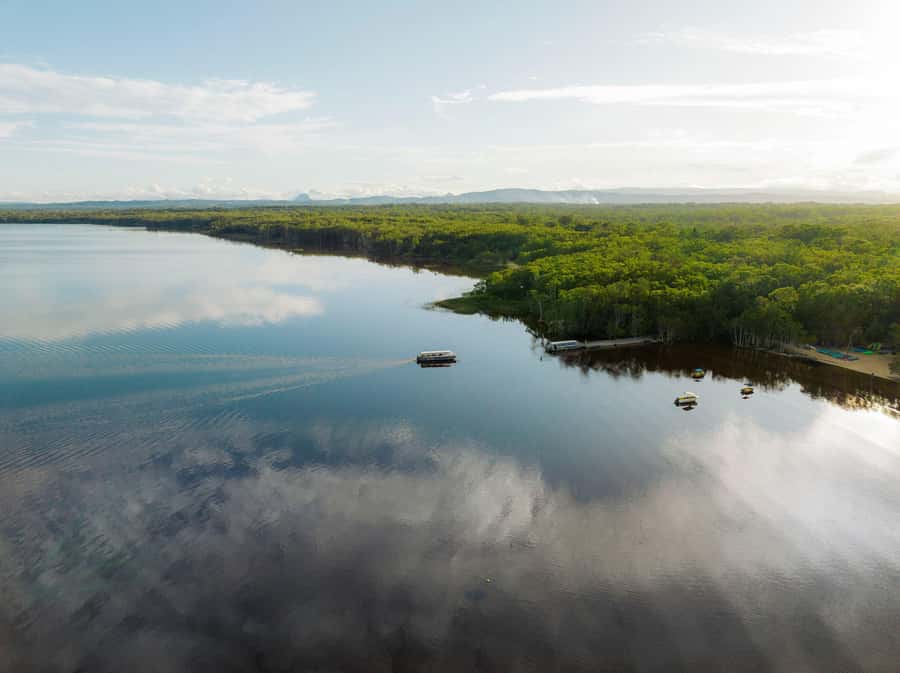 Noosa: Everglades Explorer Cruise - Is $116 good value?