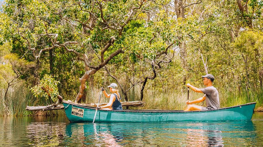 Noosa: Everglades Explorer Cruise - Getting from Noosa to the water