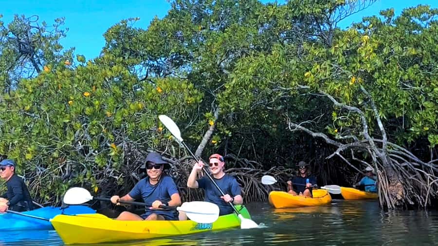 Noosa Heads: Hidden Waterways Wildlife Kayak (Self-Guided) - Key points to know before you book