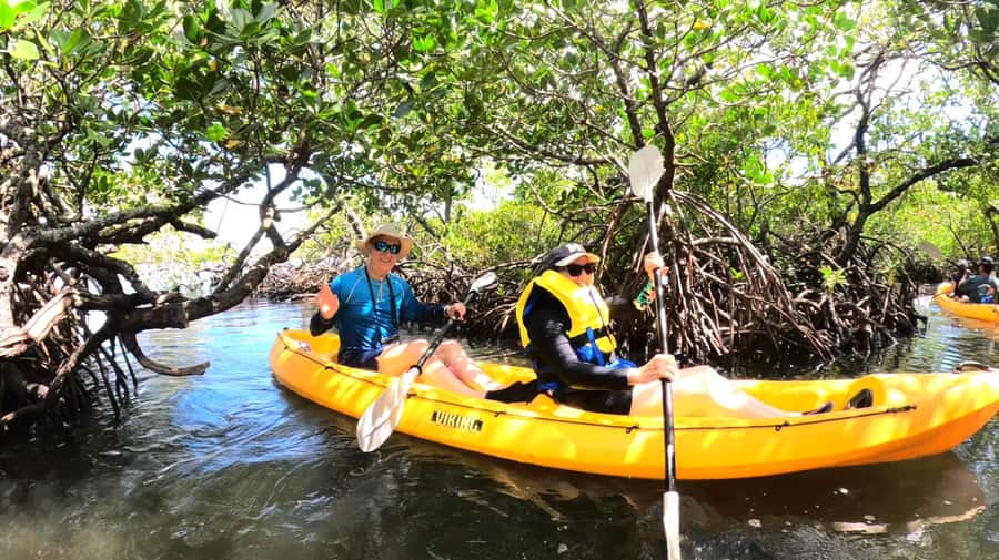 Noosa Heads: Hidden Waterways Wildlife Kayak (Self-Guided) - Through the ancient mangrove tunnels