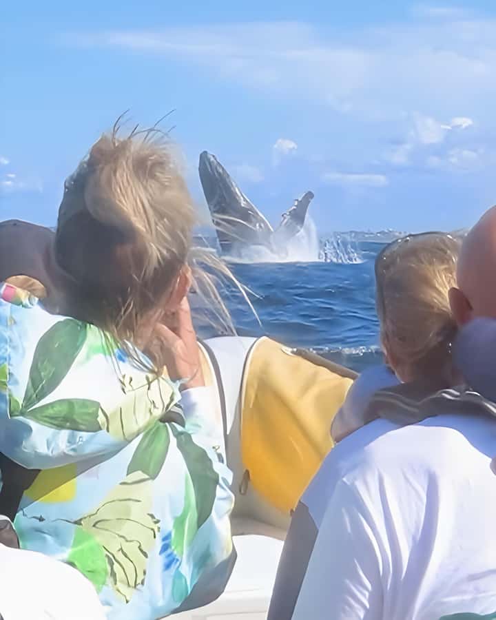 Noosa: Humpback Whale Watching Tour - Rough water and comfort concerns