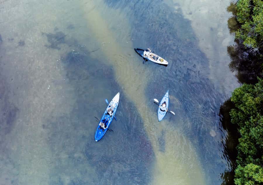 Noosa: Noosa Everglades and Stingray Sanctuary Kayak Tour - Key points for your Noosa morning