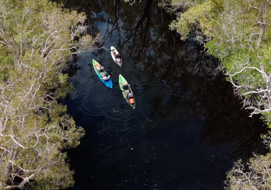 Noosa: Noosa Everglades and Stingray Sanctuary Kayak Tour - Starting at Lake Weyba, five minutes from Noosa