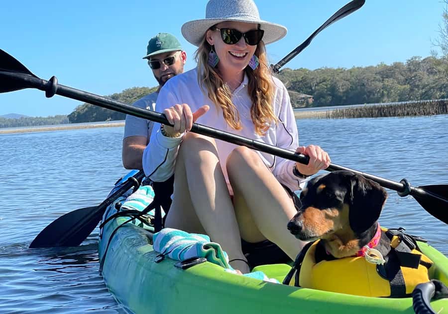 Noosa: Noosa Everglades and Stingray Sanctuary Kayak Tour - The stingray sanctuary and shallow-water wildlife