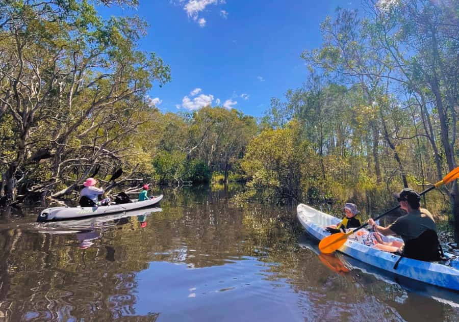 Noosa: Noosa Everglades and Stingray Sanctuary Kayak Tour - What the three hours feel like