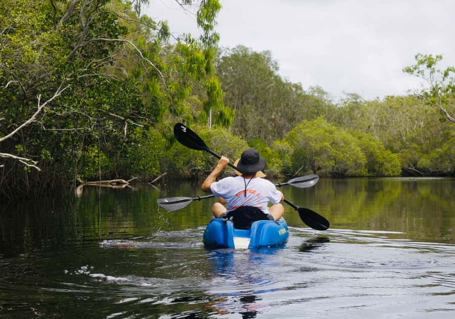Noosa: Noosa Everglades and Stingray Sanctuary Kayak Tour - Paddling into the southern Noosa Everglades