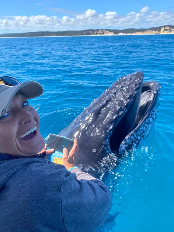 Noosa; Noosa Ocean Adventures - Whale Watching - The boat ride is part of the attraction