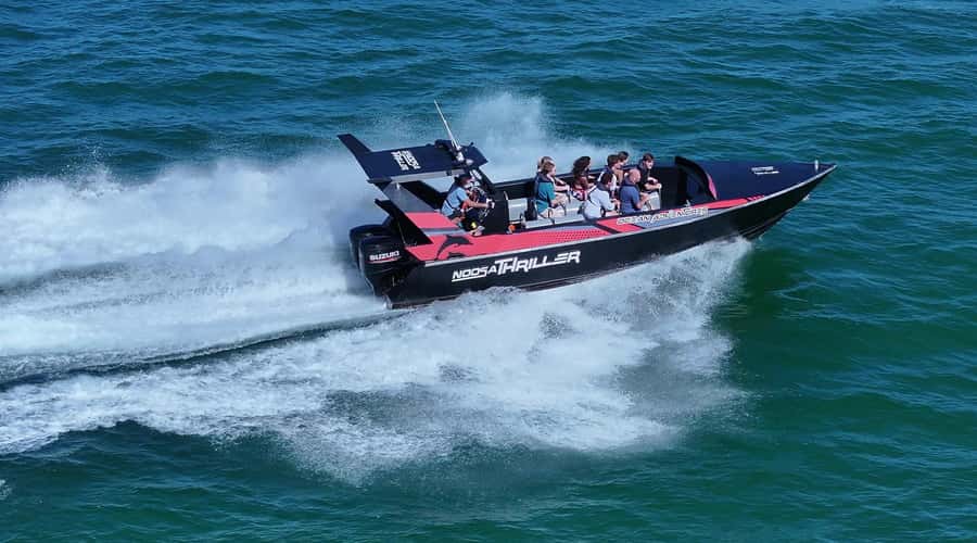 Noosa; Noosa Ocean Adventures - Whale Watching - What the 12-passenger limit changes