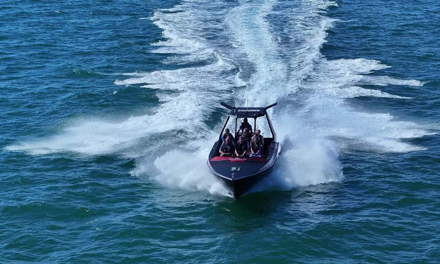 Noosa; Noosa Ocean Adventures - Whale Watching - Is $70 good value?
