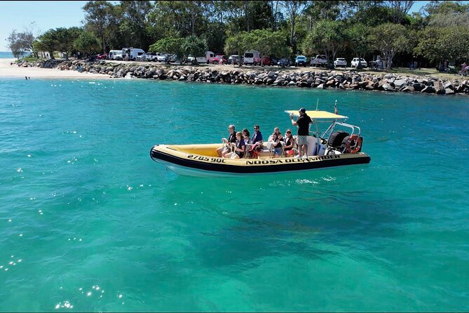 Noosa: Ocean Adventure & Dolphin Safari - Key points to know before booking