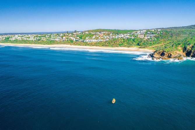 Noosa: Ocean Adventure & Dolphin Safari - Why this Noosa boat ride feels different