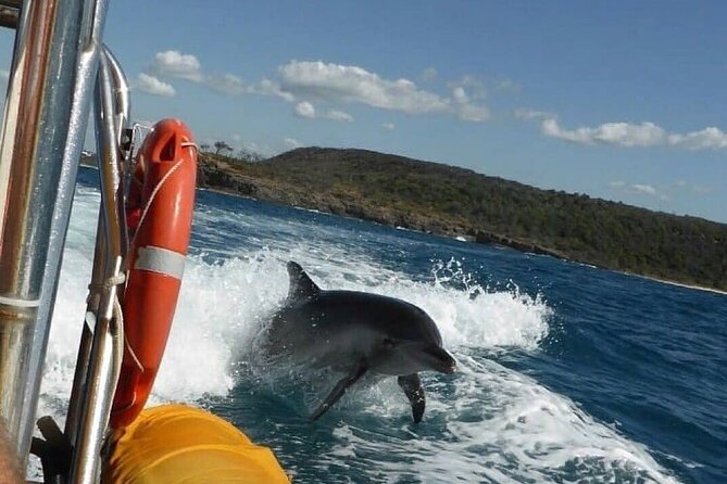 Noosa: Ocean Adventure & Dolphin Safari - Secluded beaches and bays from the water