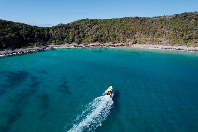 Noosa: Ocean Adventure & Dolphin Safari - Is $53 a fair price?
