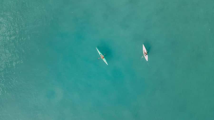 Noosa River: Mangroves and Mansions Guided Kayak Tour - A gentle way to see two sides of Noosa River