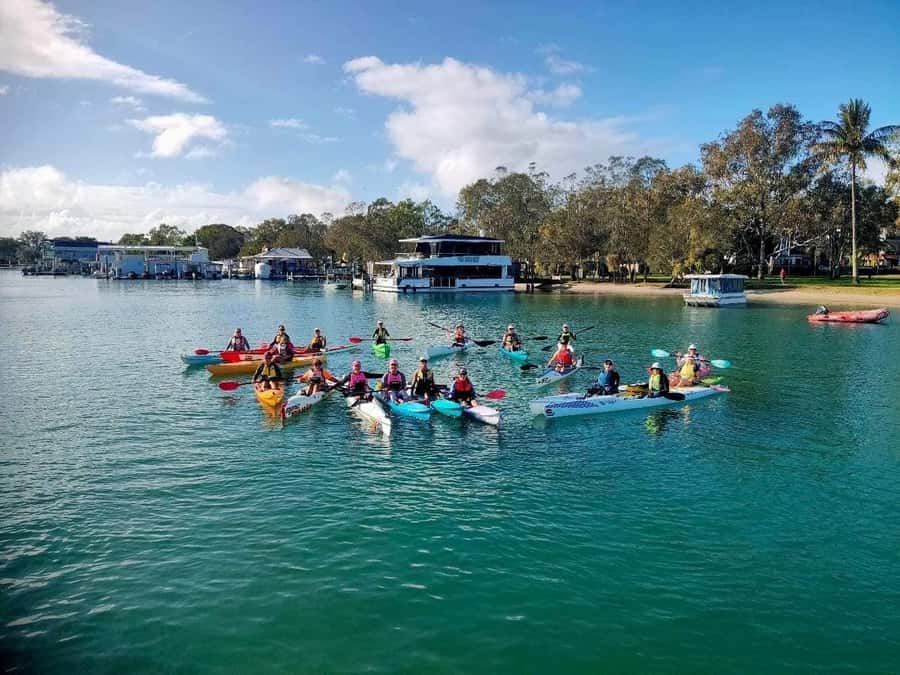Noosa River: Mangroves and Mansions Guided Kayak Tour - Who will enjoy this kayaking tour most