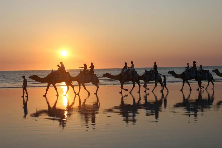North of Rocks on Cable Beach: 1-Hour Sunset Camel Ride - Key points to know before you book