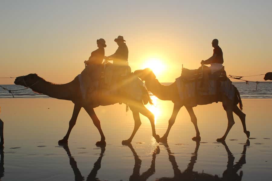 North of Rocks on Cable Beach: 1-Hour Sunset Camel Ride - Why a Cable Beach camel ride works so well at sunset