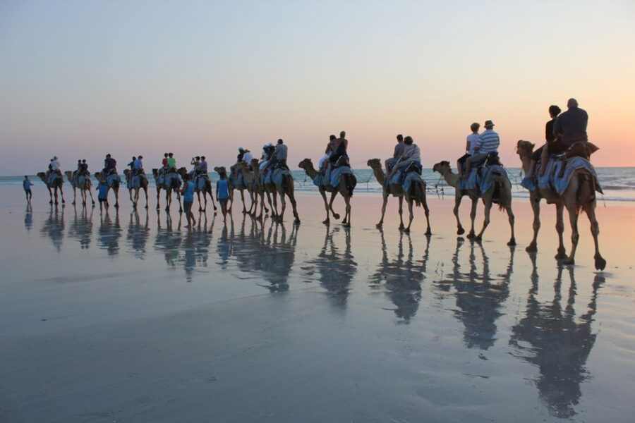 North of Rocks on Cable Beach: 1-Hour Sunset Camel Ride - Is $89 good value for one hour?