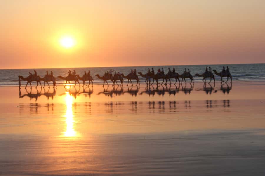 North of Rocks on Cable Beach: 1-Hour Sunset Camel Ride - Meeting the camels north of Cable Beach’s rocks