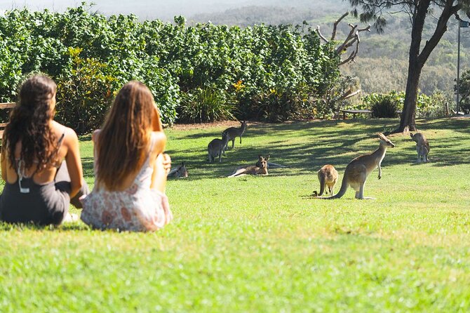 North Stradbroke Island Day Tour from Brisbane – Small Group - Amity Point brings in island history and village life