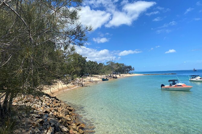 North Stradbroke Island WILDLIFE Adventure Tour from Brisbane - Key points to know before booking