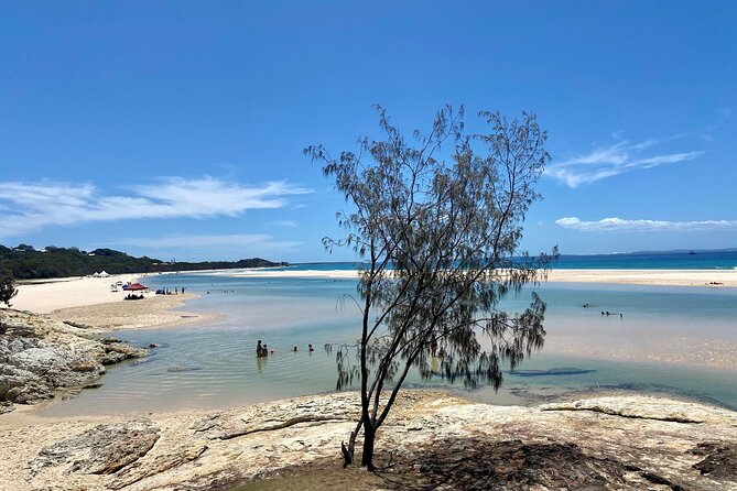 North Stradbroke Island WILDLIFE Adventure Tour from Brisbane - Why this island day trip works from Brisbane