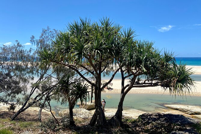 North Stradbroke Island WILDLIFE Adventure Tour from Brisbane - Point Lookout and a flexible island lunch