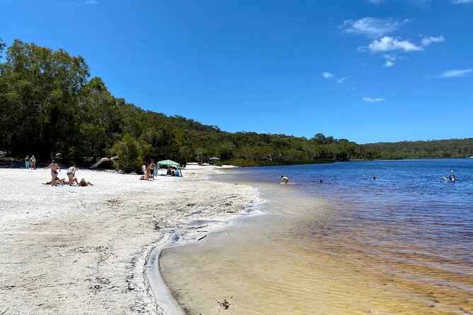 North Stradbroke Island WILDLIFE Adventure Tour from Brisbane - Brown Lake and the story behind the tea-colored water