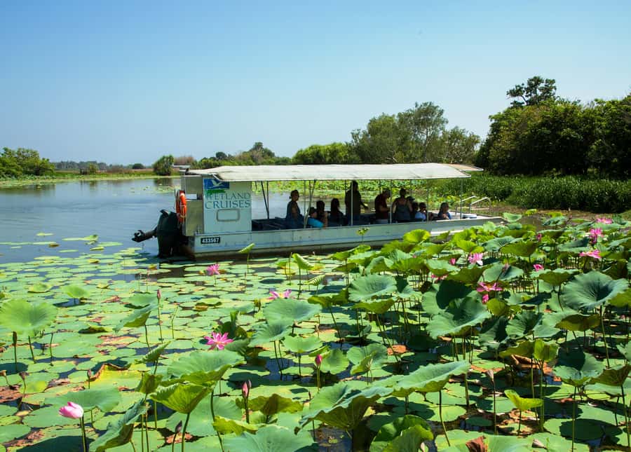 Northern Territory: Corroboree Billabong Nature Cruises - Boarding the open-air boat