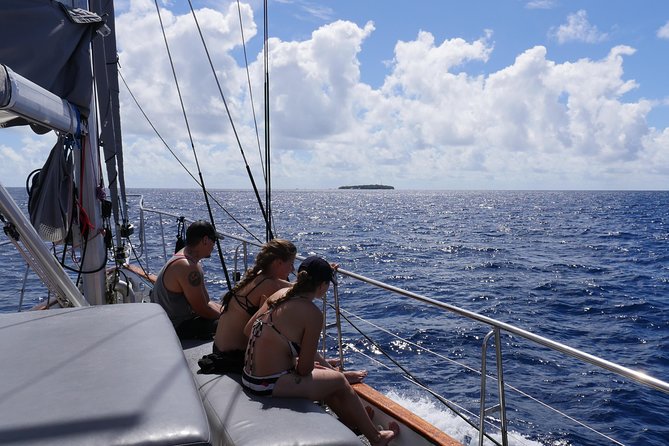 Ocean Free 25 guest Great Barrier Reef & visit Green Island Tour - Marineland Melanesia and the crocodile stop