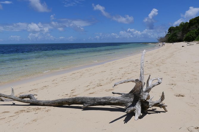Ocean Free 25 guest Great Barrier Reef & visit Green Island Tour - The return sail to Cairns