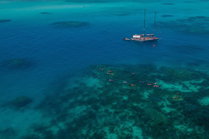 Ocean Free 25 guest Great Barrier Reef & visit Green Island Tour - Five hours around Pinnacle Reef