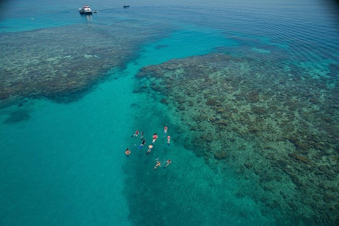 Ocean Freedom Great Barrier Reef Luxury Snorkel and Dive Cruise - Key points to know before booking