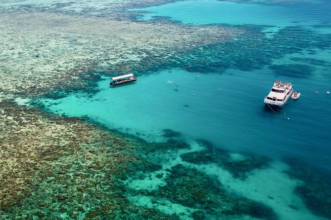 Ocean Freedom Great Barrier Reef Luxury Snorkel and Dive Cruise - The first reef stop: Upolu Cay’s shallow coral garden