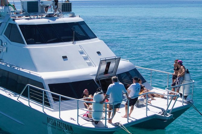 Ocean Freedom Great Barrier Reef Luxury Snorkel and Dive Cruise - Snorkeling support for nervous swimmers